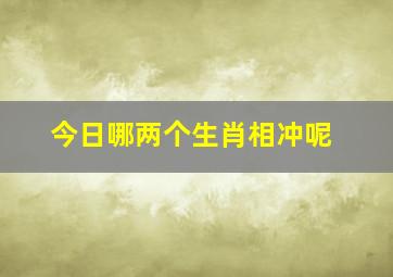 今日哪两个生肖相冲呢