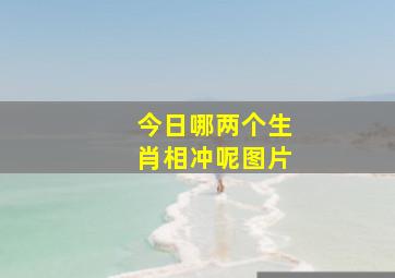 今日哪两个生肖相冲呢图片