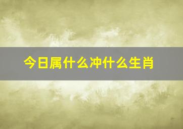 今日属什么冲什么生肖