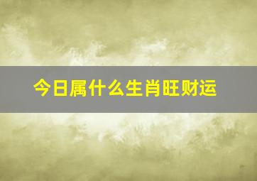 今日属什么生肖旺财运