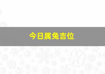 今日属兔吉位