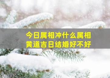 今日属相冲什么属相黄道吉日结婚好不好