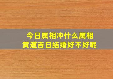 今日属相冲什么属相黄道吉日结婚好不好呢