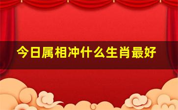 今日属相冲什么生肖最好