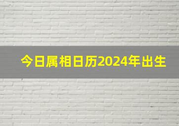 今日属相日历2024年出生