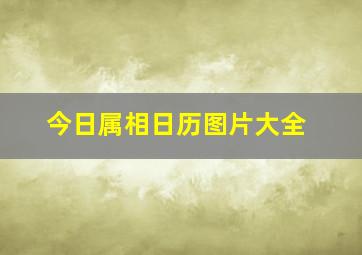 今日属相日历图片大全