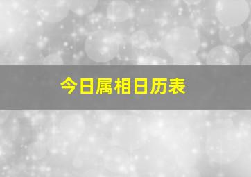 今日属相日历表