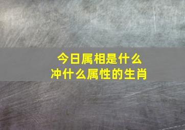 今日属相是什么冲什么属性的生肖