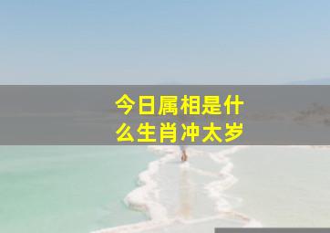 今日属相是什么生肖冲太岁