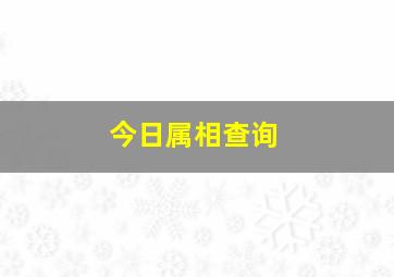 今日属相查询