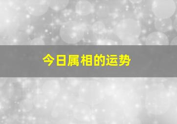 今日属相的运势