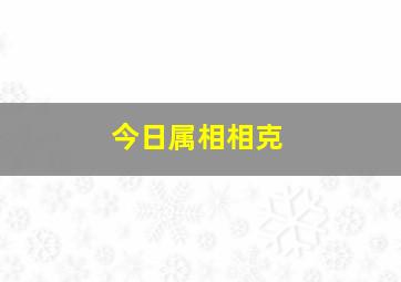 今日属相相克