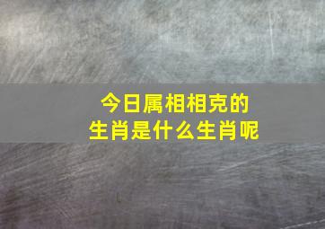 今日属相相克的生肖是什么生肖呢