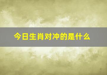 今日生肖对冲的是什么