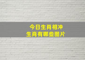 今日生肖相冲生肖有哪些图片