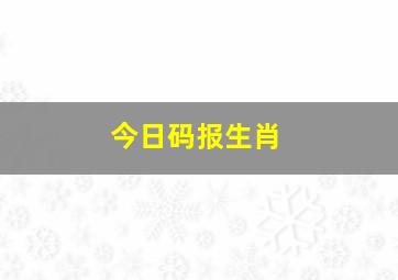 今日码报生肖