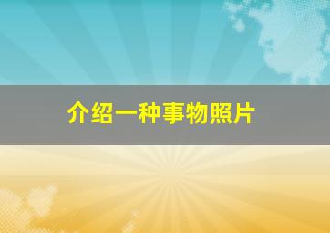 介绍一种事物照片