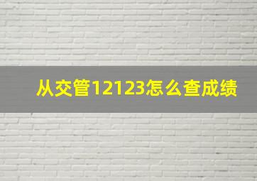 从交管12123怎么查成绩