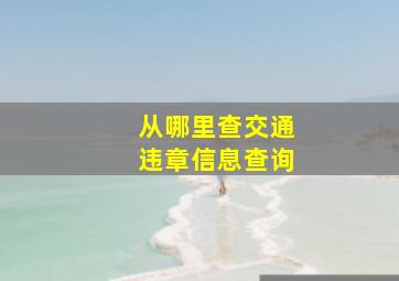 从哪里查交通违章信息查询