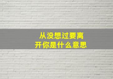 从没想过要离开你是什么意思