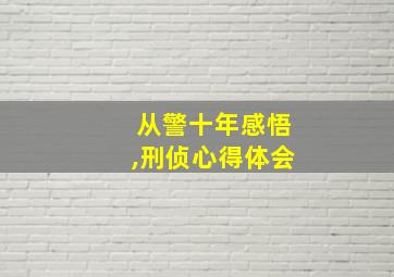 从警十年感悟,刑侦心得体会