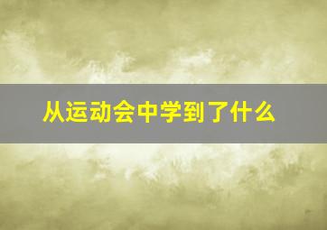 从运动会中学到了什么