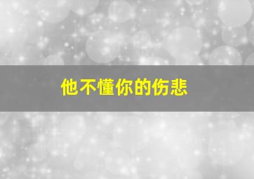 他不懂你的伤悲