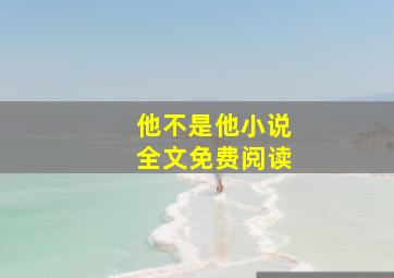 他不是他小说全文免费阅读