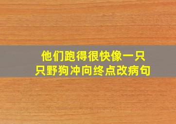 他们跑得很快像一只只野狗冲向终点改病句