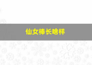 仙女棒长啥样