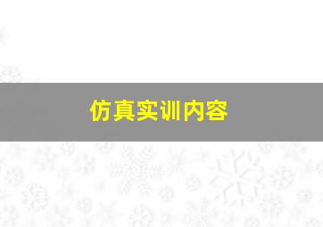 仿真实训内容