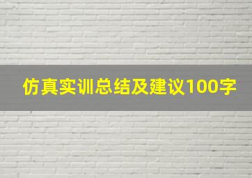 仿真实训总结及建议100字