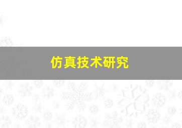 仿真技术研究