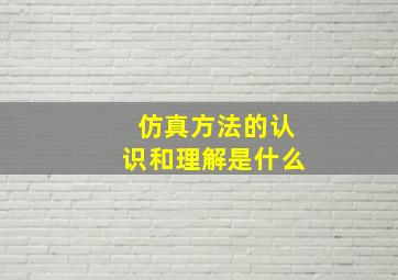 仿真方法的认识和理解是什么