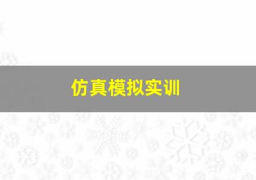 仿真模拟实训