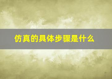 仿真的具体步骤是什么