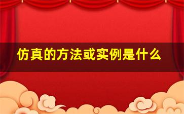 仿真的方法或实例是什么