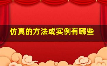 仿真的方法或实例有哪些