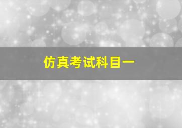 仿真考试科目一