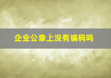 企业公章上没有编码吗