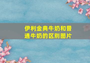 伊利金典牛奶和普通牛奶的区别图片