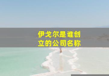 伊戈尔是谁创立的公司名称