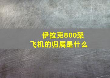 伊拉克800架飞机的归属是什么