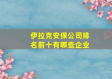 伊拉克安保公司排名前十有哪些企业