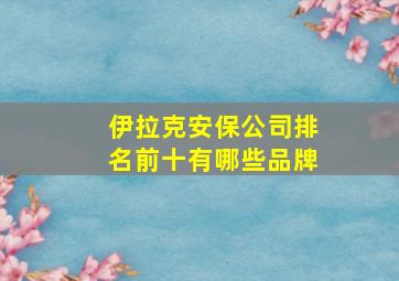 伊拉克安保公司排名前十有哪些品牌