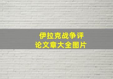 伊拉克战争评论文章大全图片