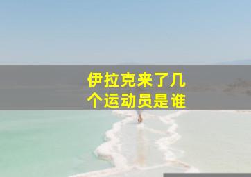 伊拉克来了几个运动员是谁