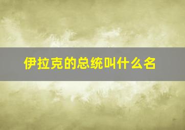 伊拉克的总统叫什么名