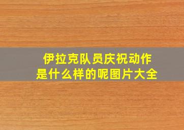 伊拉克队员庆祝动作是什么样的呢图片大全