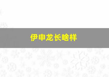 伊申龙长啥样